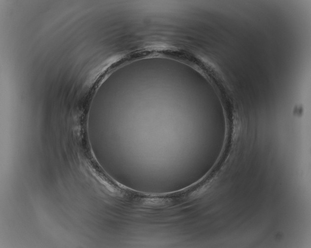 X0000111031305200906251255