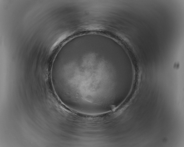 X0000111031306200906251255