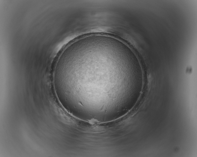 X0000111031308200906251255