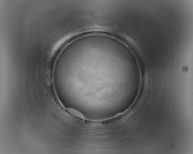 X0000111031310200906251255