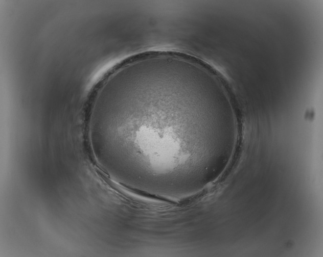 X0000111031311200906251255