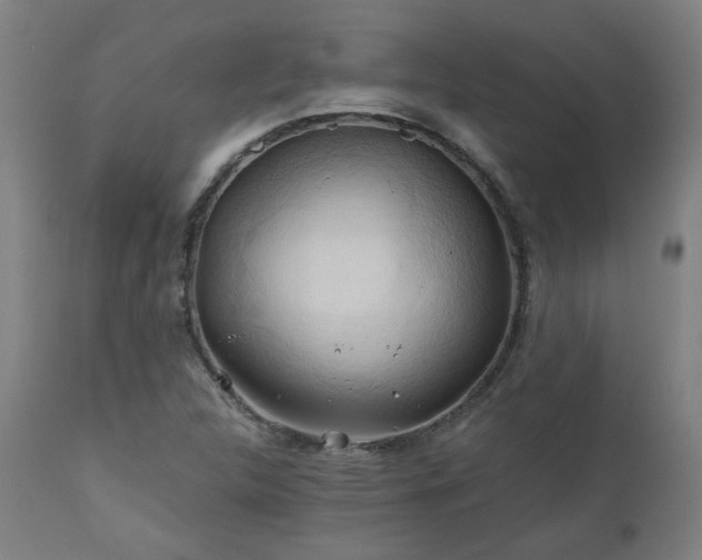X0000111031312200906251255