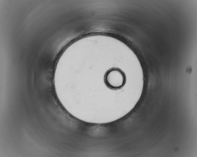 X0000111031314200906251255