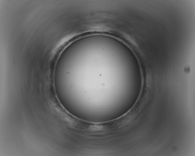 X0000111031315200906251256