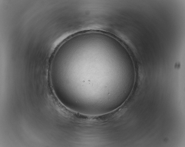 X0000111031316200906251256
