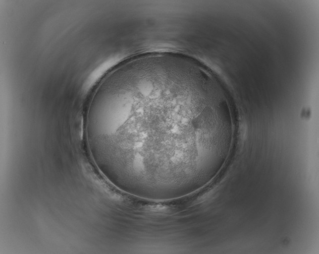 X0000111031317200906251256