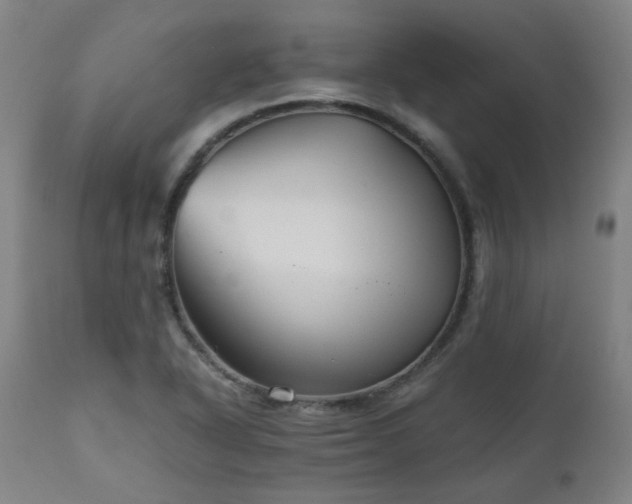 X0000111031318200906251256