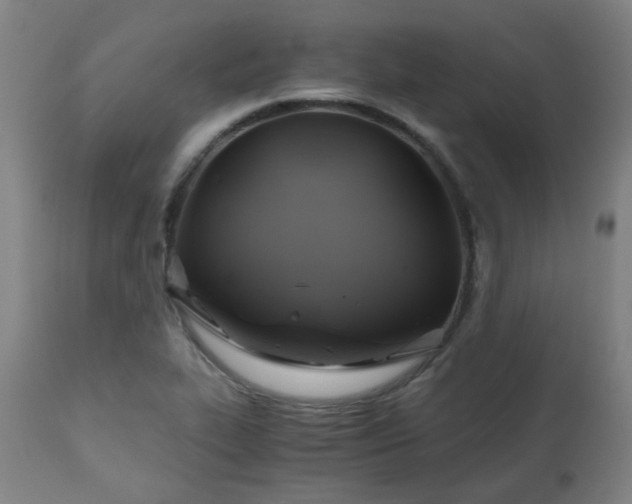 X0000111031319200906251256