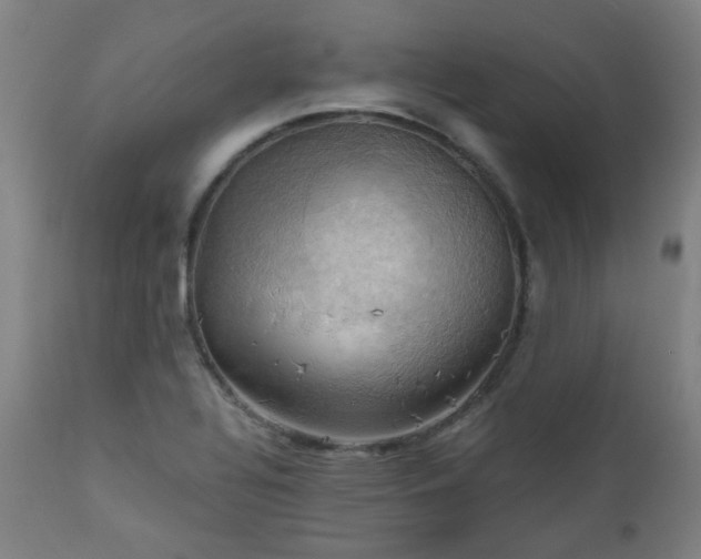 X0000111031320200906251256