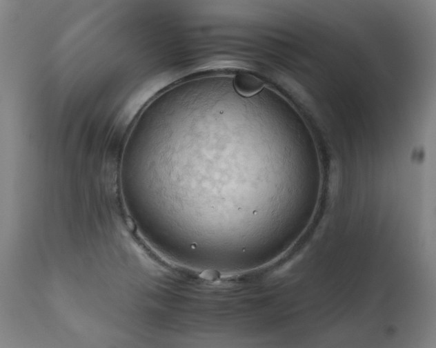 X0000111031321200906251256