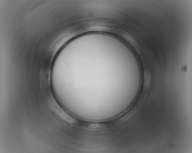 X0000111031322200906251256