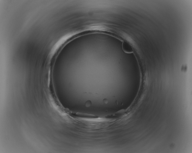 X0000111031323200906251256