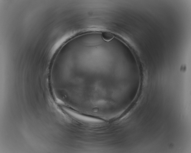 X0000111031325200906251256
