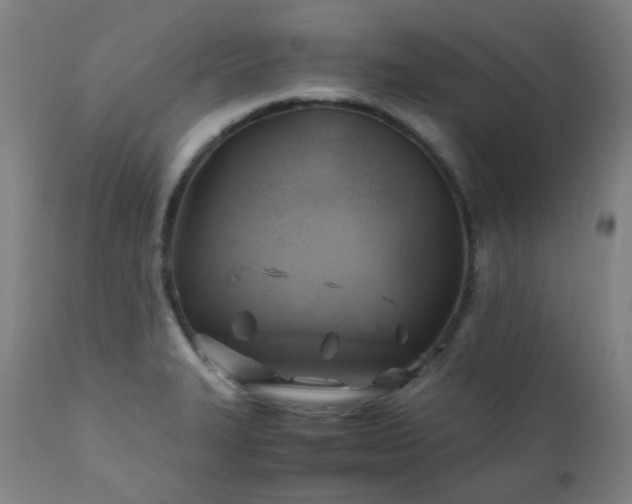 X0000111031327200906251256