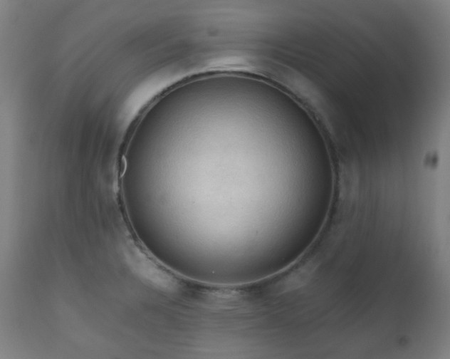 X0000111031328200906251256