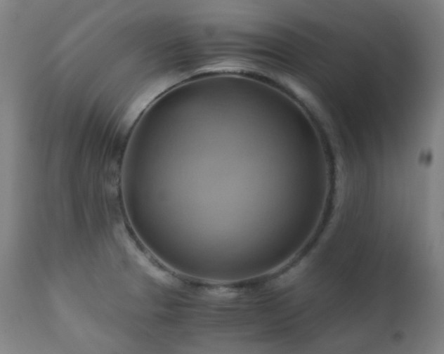 X0000111031329200906251256