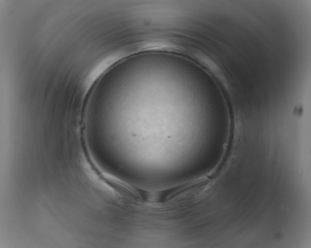X0000111031330200906251256