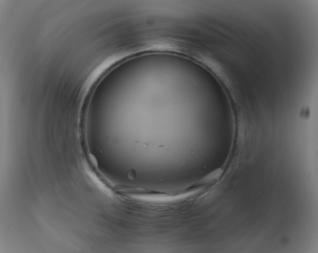X0000111031331200906251256