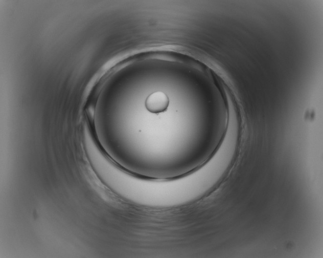 X0000111031332200906251256
