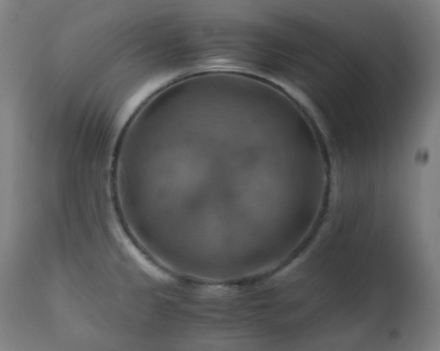 X0000111031333200906251256