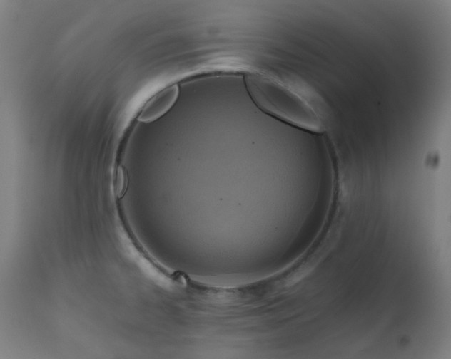 X0000111031334200906251256