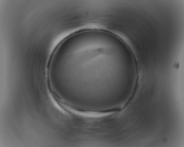 X0000111031335200906251256