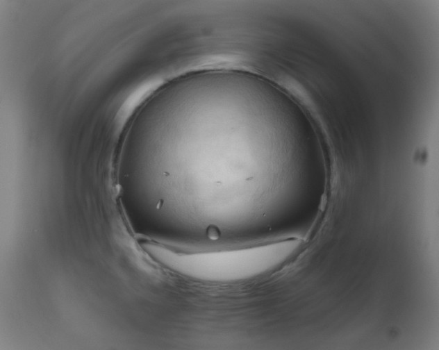 X0000111031336200906251256
