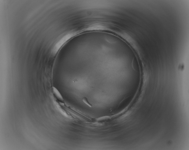 X0000111031337200906251256