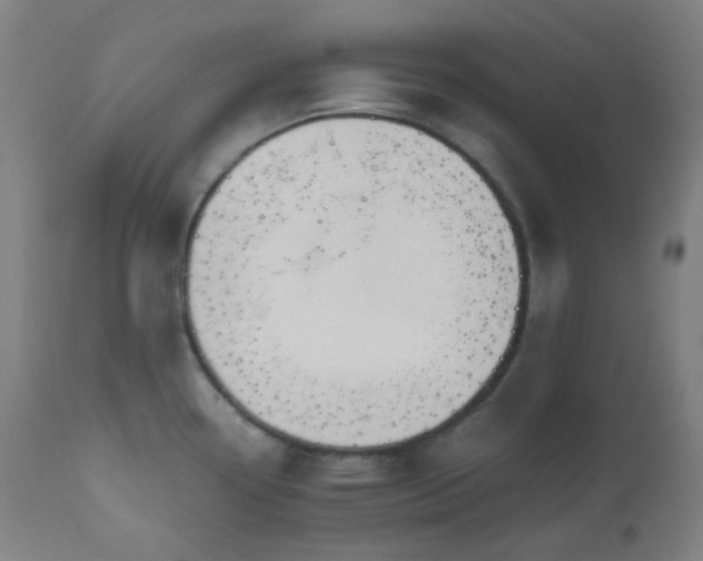 X0000111031338200906251256