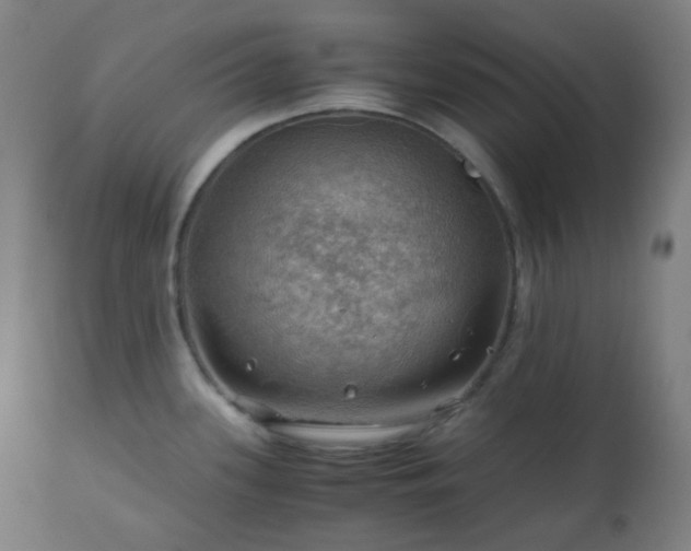 X0000111031339200906251256