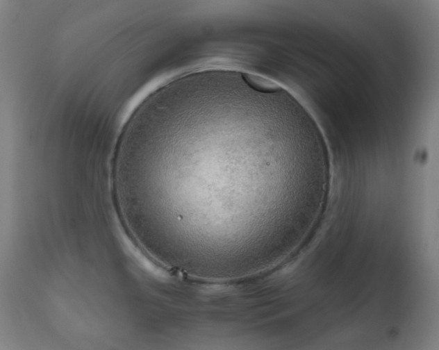 X0000111031341200906251256