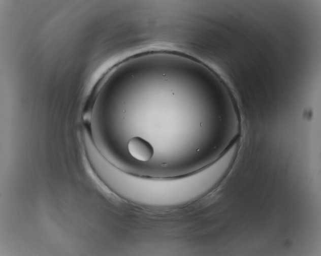 X0000111031342200906251256