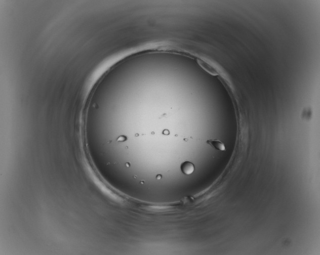 X0000111031343200906251256