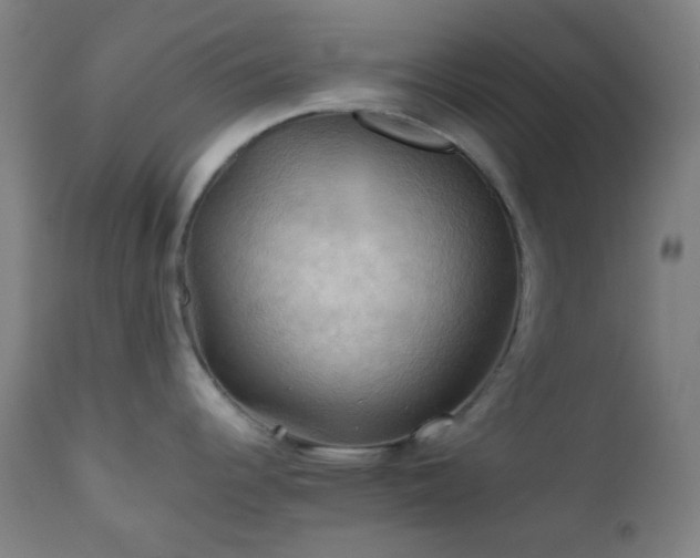 X0000111031344200906251256
