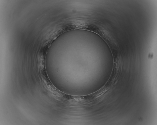 X0000111031346200906251255
