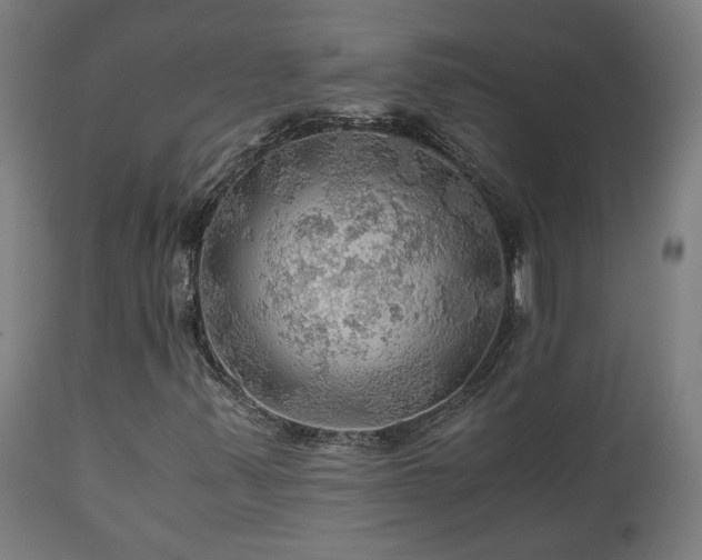 X0000111031347200906251255