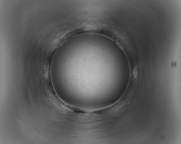 X0000111031348200906251255