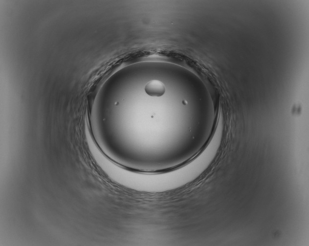 X0000111031349200906251255