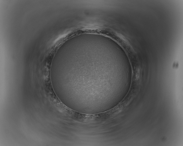 X0000111031350200906251255