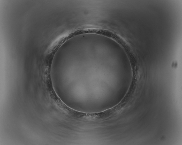 X0000111031351200906251255