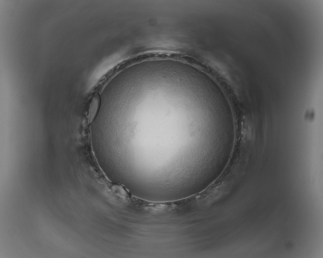 X0000111031352200906251255