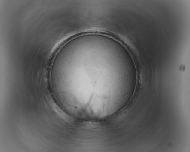 X0000111031356200906251255