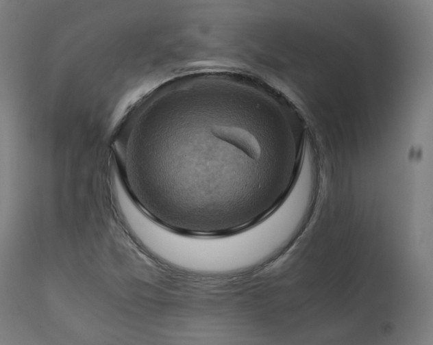 X0000111031357200906251255