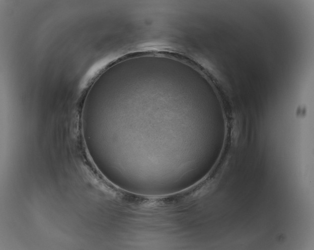 X0000111031358200906251255