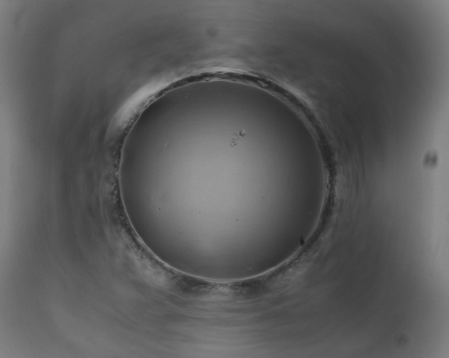 X0000111031359200906251255
