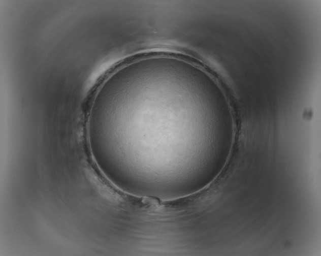 X0000111031360200906251255