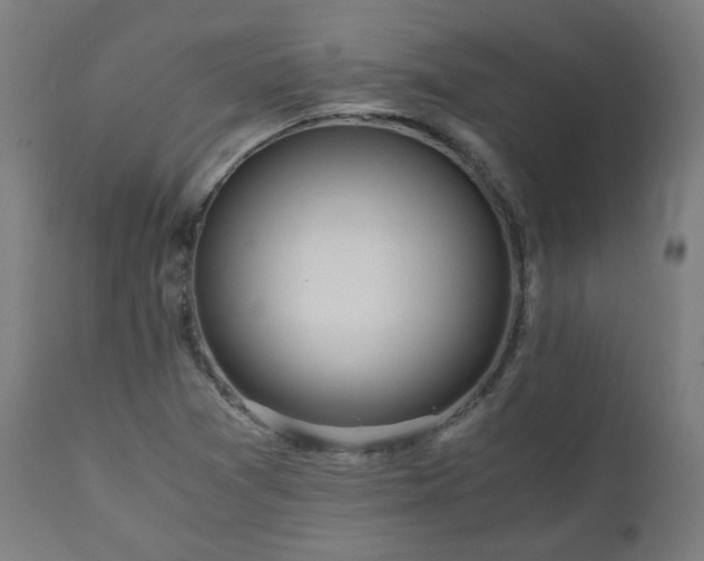 X0000111031361200906251255