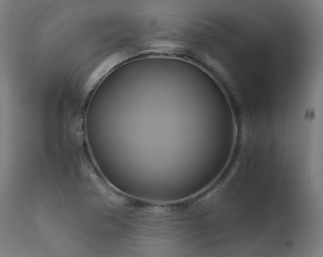 X0000111031362200906251255