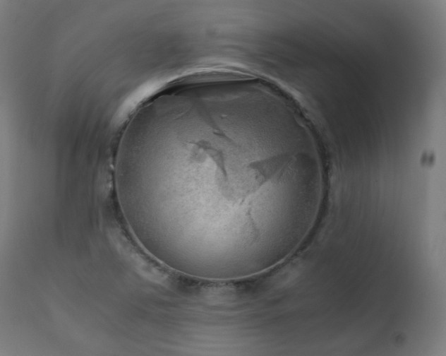 X0000111031363200906251255