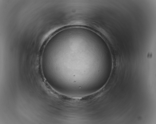 X0000111031364200906251255